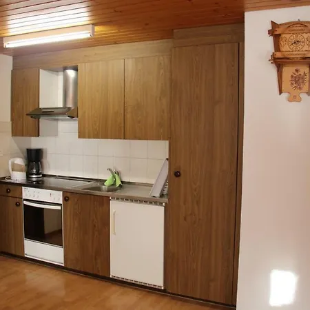 Haus Wiedersehn Daire Goms