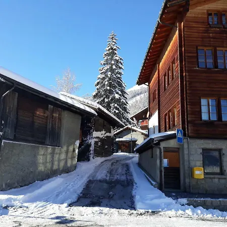 Haus Wiedersehn 公寓